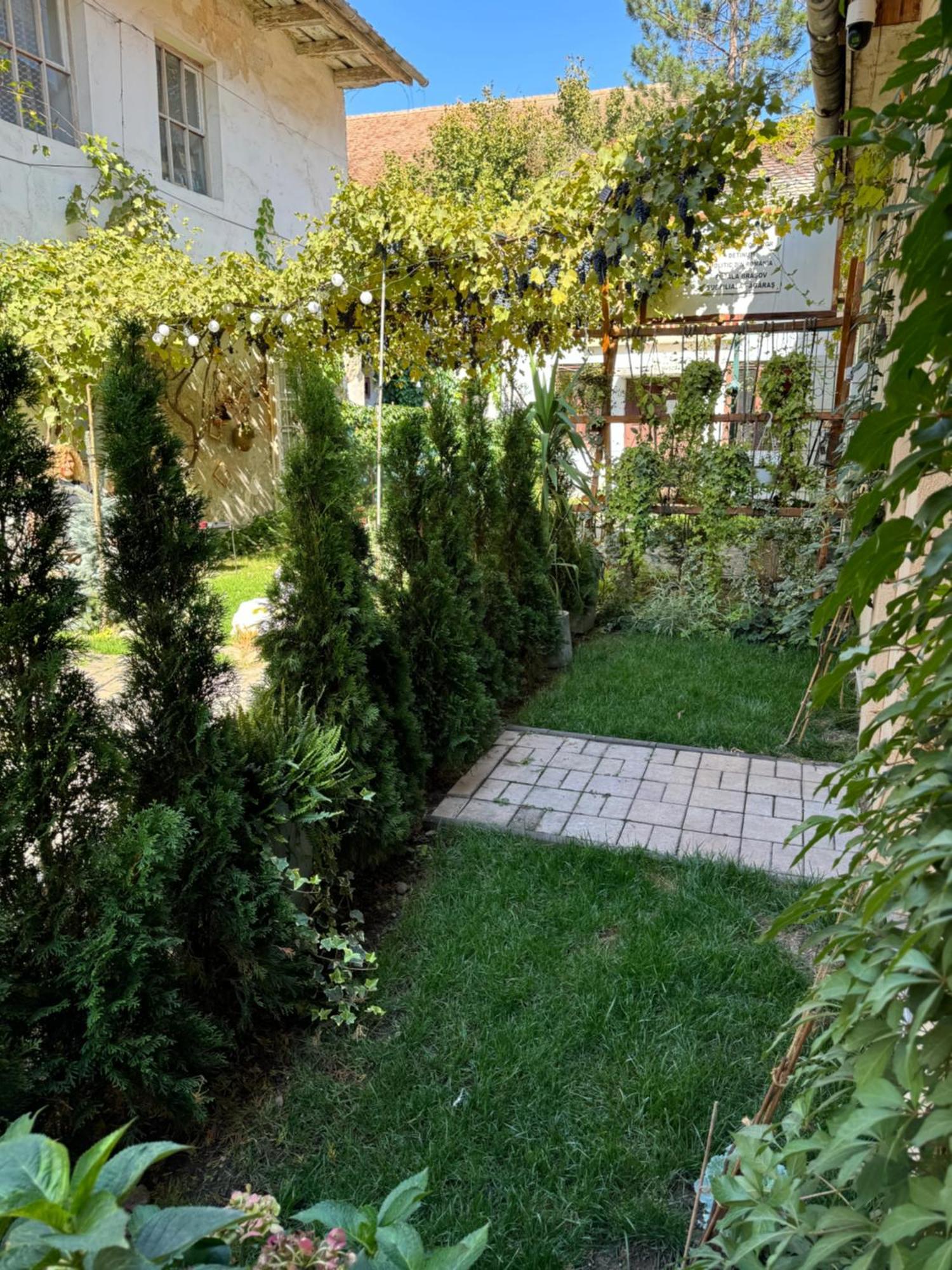 Studio Rezistenta Făgăraş Extérieur photo