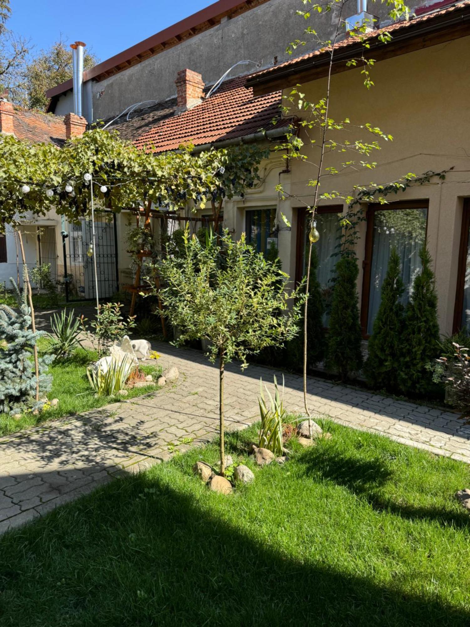 Studio Rezistenta Făgăraş Extérieur photo